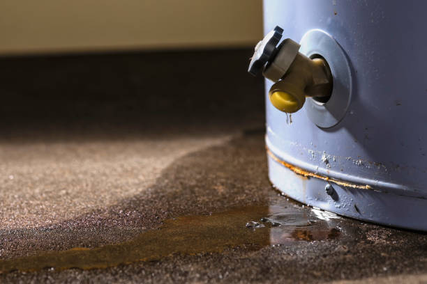 Best Flooded house restoration  in Culpeper, VA