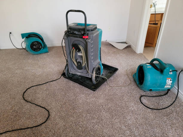 Best Flood damage cleanup  in Culpeper, VA