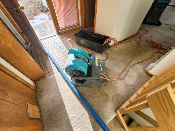 Best Water damage cleanup near me  in Culpeper, VA