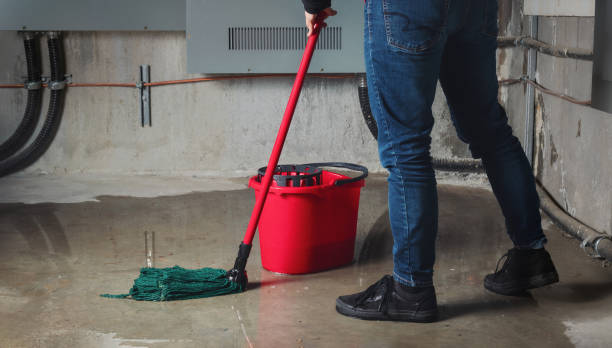 Best Water damage restoration insurance claims  in Culpeper, VA