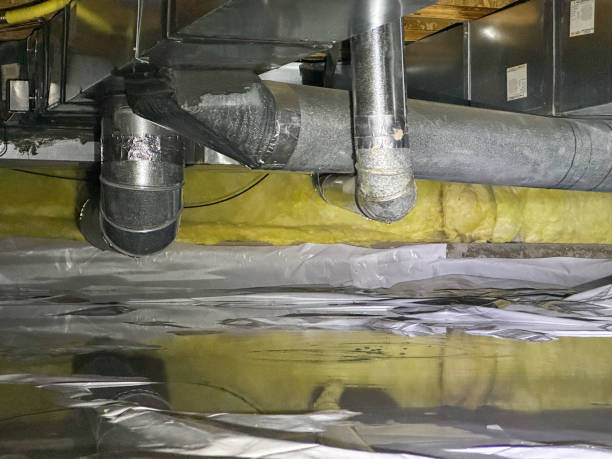 Best Water damage restoration cost  in Culpeper, VA